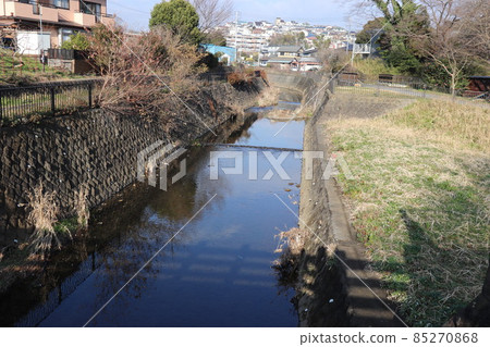 The scenery of the forest of the citizens of Masagari_2 85270868