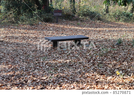 Masagari is the scenery of the forest of the citizens of the abyss_4 85270871