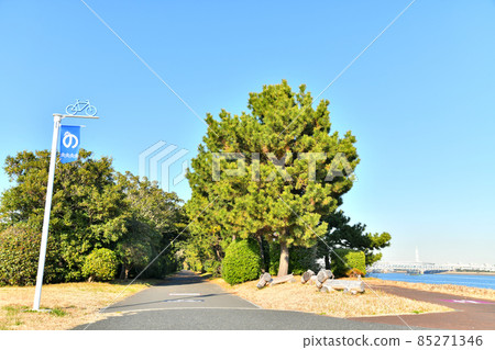 Shinkibaryokudo Park / Cycling Road (Koto-ku, Tokyo) [2021.12] 85271346