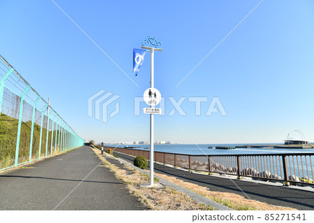 Shinkibaryokudo Park / Cycling Road Overlooking Maihama (Koto-ku, Tokyo) [2021.12] 85271541