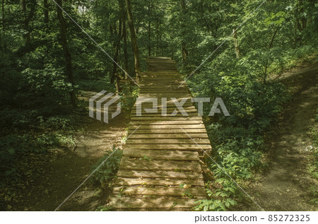 Footbridge crossing the dense thickets. Path through a green summer forest going up. Wooden walkway, path in dense greenery. Background travel or bike sport concept Footbridge crossing the dense thickets. Path through a green summer forest going up. Wooden walkway, path in dense greenery. Background travel or bike sport concept 85272325