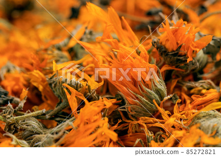 A scattering of dried orange flowers of medicinal calendula close up 85272821