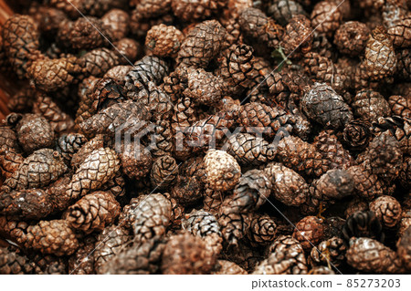 Rattan Basket full of pine cones . Selective focus 85273203