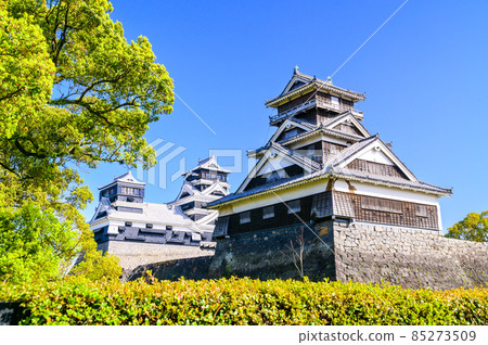 熊本城“櫻花盛開的季節”城堡風景熊本城（櫻花風景） 85273509