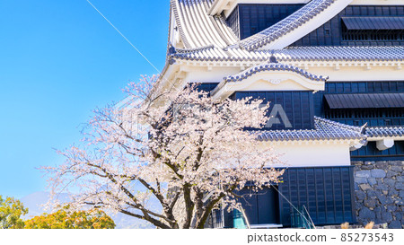 熊本城“櫻花盛開的季節”城堡風景熊本城(櫻花風景) 熊本城“櫻花盛開的季節”城堡風景熊本城(櫻花風景) 85273543