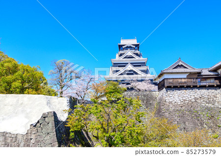 熊本城“櫻花盛開的季節”城堡風景熊本城（櫻花風景） 85273579