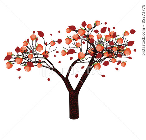 Persimmon tree illustration 85273779
