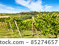 Hilly region of the Langhe with vineyards 85274657