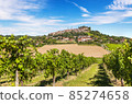 Hilly region of the Langhe with vineyards 85274658