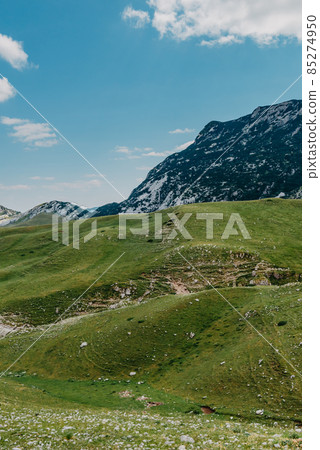 Mountain valley during sunrise. Natural summer landscape. Mountain peak green nature scenery. green hill landscape 85274950