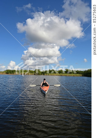 Young woman kayaking on Nine Mile Pond in Everglades National Park. 85275603