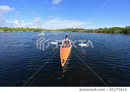 Young woman kayaking on Nine Mile Pond in Everglades National Park. Young woman kayaking on Nine Mile Pond in Everglades National Park. 85275610