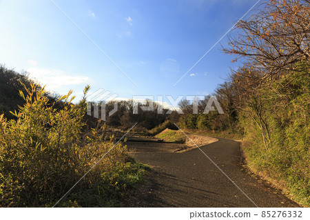 神奈川縣橫濱市戶塚區原景舞岡故鄉公園冬季 85276332