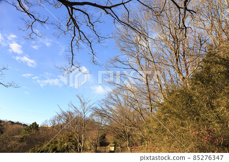 神奈川縣橫濱市戶塚區原景舞岡故鄉公園冬季 85276347