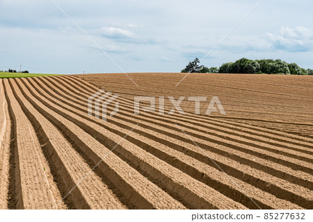 Soil tranches at a cultivated farmland potato field Soil tranches at a cultivated farmland potato field 85277632