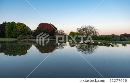 Water reflections of trees in a pond at the Gardens of the Royal domain Water reflections of trees in a pond at the Gardens of the Royal domain 85277636