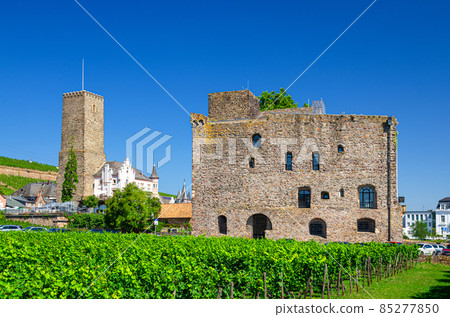 Vineyards green field, Bromserburg medieval stone lowland castle 85277850