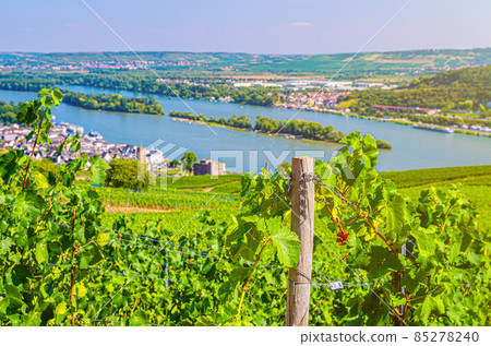 Aerial panoramic view of river Rhine Gorge or Upper Middle Rhine Valley winemaking region Aerial panoramic view of river Rhine Gorge or Upper Middle Rhine Valley winemaking region 85278240