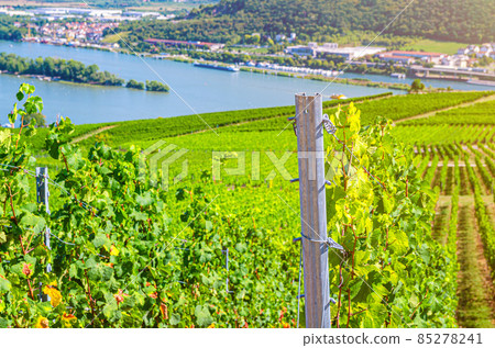 Aerial panoramic view of river Rhine Gorge or Upper Middle Rhine Valley winemaking region Aerial panoramic view of river Rhine Gorge or Upper Middle Rhine Valley winemaking region 85278241