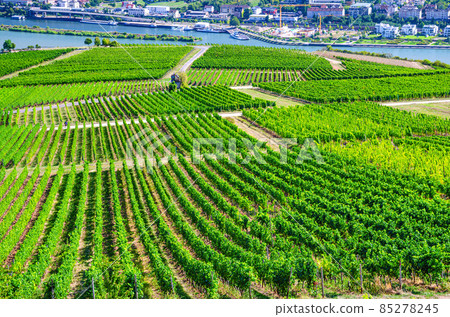 Aerial panoramic view of river Rhine Gorge or Upper Middle Rhine Valley winemaking region Aerial panoramic view of river Rhine Gorge or Upper Middle Rhine Valley winemaking region 85278245