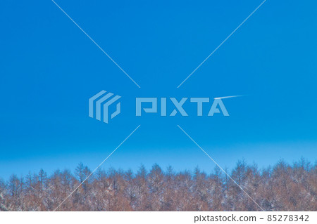 Winter blue sky and airplane cloud 85278342