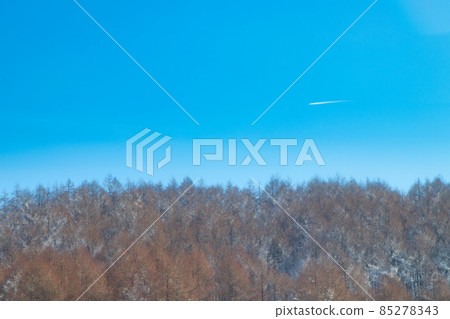 Winter blue sky and airplane cloud 85278343