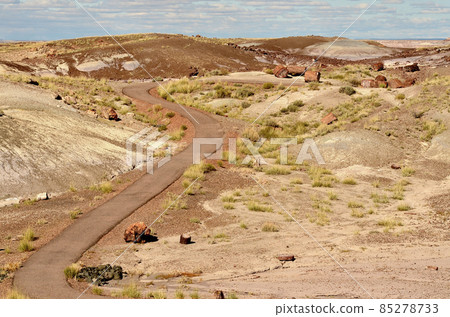 Trail through Petrified Forest Arizona Trail through Petrified Forest Arizona 85278733