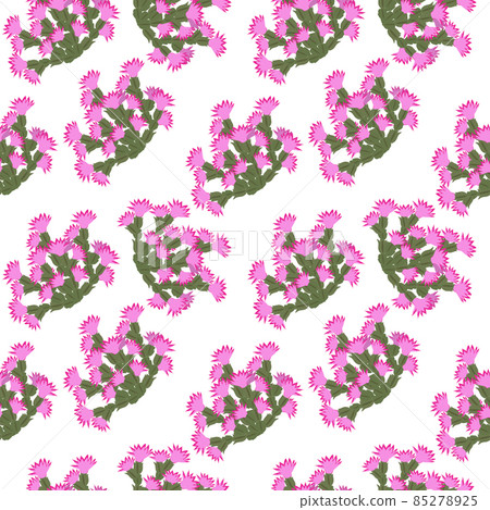 Seamless pattern with Schlumbergera (Christmas cactus) Seamless pattern with Schlumbergera (Christmas cactus) 85278925