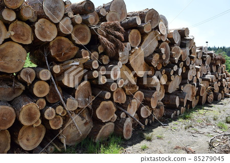 Cedar log cut out Cedar log cut out 85279045