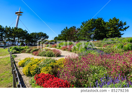 東京江戶川區葛西臨海公園展望廣場 85279236