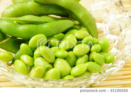 毛豆零食啤酒 毛豆零食啤酒 85280088