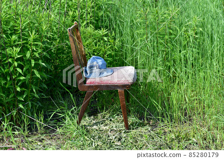 The chair stands against a wall of green grass. The chair stands against a wall of green grass. 85280179