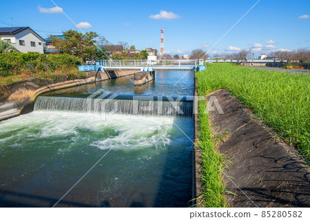 Minuma替代水道，Minumamotoiri公園附近的風景，秋天的風景 85280582
