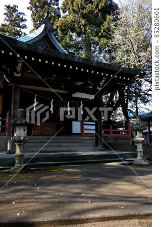 森林中神社的小禮拜堂 85280601