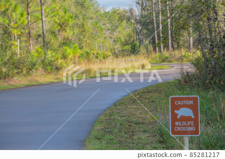 Caution Wildlife Crossing Sign at Colt Creek State Park, Lakeland, Polk County, Florida 85281217