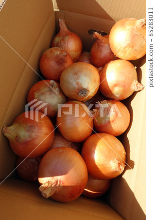 Onions from Awaji Island Onions from Awaji Island 85283011