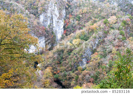 下大釋峽芋頭岩秋葉風光 下大釋峽芋頭岩秋葉風光 85283116
