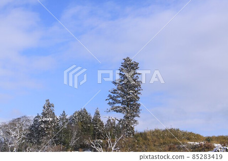 冬天的景色 85283419