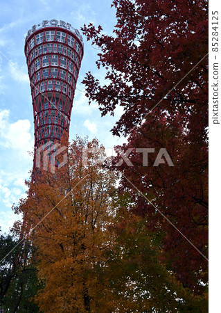Autumn 2021 Kobe Port Tower and autumn leaves under renovation work 85284125