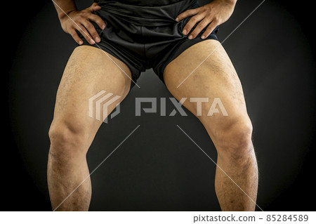 腿部肌肉（大腿） 85284589