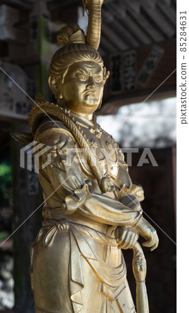 藥王院的財神八龍王 藥王院的財神八龍王 85284631