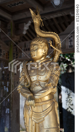 藥王院的財神八龍王 藥王院的財神八龍王 85284640