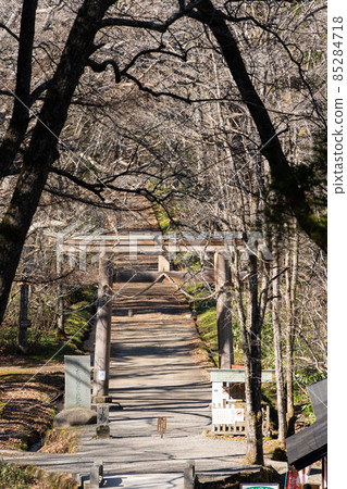 [長野縣]戶隱神社奧社 85284718