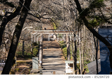 [Nagano Prefecture] Togakushi Shrine Okusha 85284720
