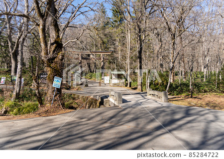 [長野縣]戶隱神社奧社 85284722