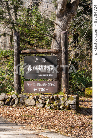 [長野縣]戶隱神社奧社 85284724