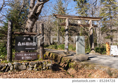 [Nagano Prefecture] Togakushi Shrine Okusha 85284728