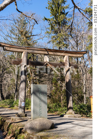 [Nagano Prefecture] Togakushi Shrine Okusha 85284731