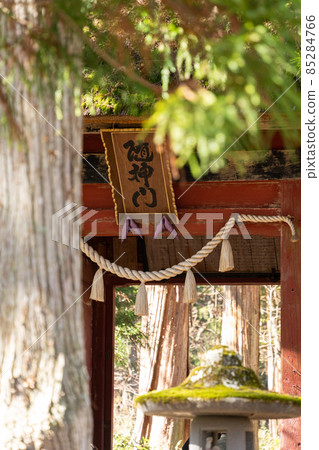 [Nagano Prefecture] Togakushi Shrine Okusha 85284766