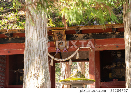 [Nagano Prefecture] Togakushi Shrine Okusha 85284767